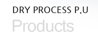 Dry System PU Resin