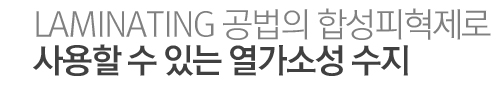 Laminating 공법의 합성피혁제로 사용할 수 있는 열가소성 수지